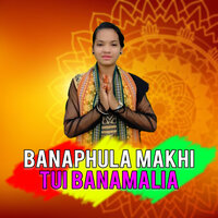 BANAPHULA MAKHI TUI BANAMALIA - DJ UDAYA SAHU