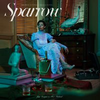 Begging You - Sparrow