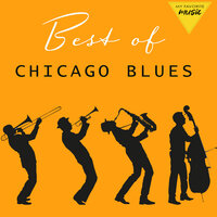 She's Alright - Bo Diddley