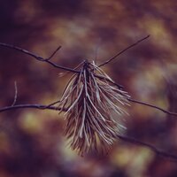 Relax Yourself to Sleep - Wave Sound Group & Baby Sleep & Nature Sound Series