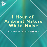 Woodland Entrainment - Binaural Beats ASMR & Binaural Atmospheres