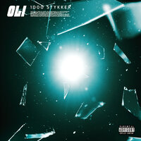 1000 Stykker - Oli