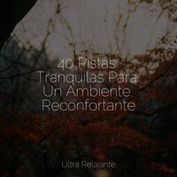 Rayos de Luz - Sonidos De La Naturaleza & Musica Relajante New Age Culture & Musica Relajante Para Dormir
