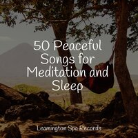Sleep Aid - Oceanic Yoga Pros & Relaxing Music Therapy & Relax Meditation Sleep