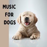 Puppy Love - Music for Dogs & Music for Dogs Peace & Relaxing Puppy Music & Calm Pets Music Academy