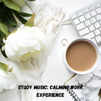 Relaxation and Working Music - Brain Timbre & Focus & Study Music & Sounds