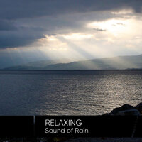 Running Water from the Rain - Sound of Rain