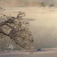 残缺的美 - 每日佛乐