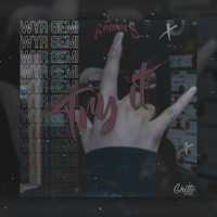 TRY IT - WYR GEMI