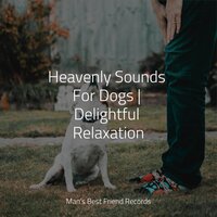 Background Music - Dog Music & Music for Dogs Peace & Pet Care Club