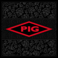 Love Is in the Air - Pig