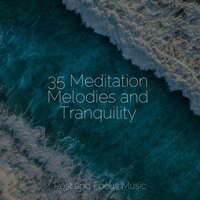 Life in Nature - Exam Study Classical Music Orchestra & Binaural Beats Isochronic Tones Lab & Study Power