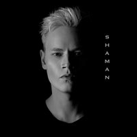 ПРЯМО ПО СЕРДЦУ - SHAMAN