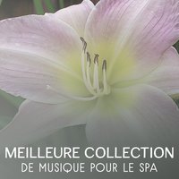 Réveiller l'âme - Detente Spa Musique Collection