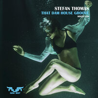 That Dam House Groove - Stefan Thomas