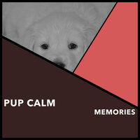 Puppy Calm Moments - Dogs Music Therapy & Dog's Music & Zen Dog