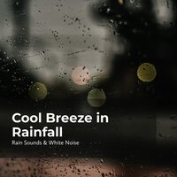 Chilly Rainy Season - Rain Sounds & White Noise & Raindrops Sleep & Sleep Rain