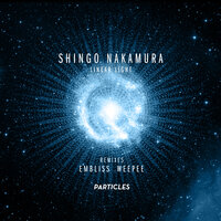 Linear Light - Shingo Nakamura