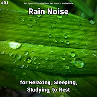 Tranquil Pleasures - Rain Sounds & Relaxing Spa Music & Rain Sounds by Angelika Whitta