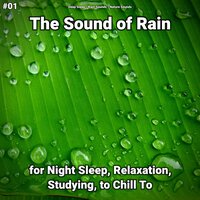 Dreamy Rain Sounds - Deep Sleep & Rain Sounds & Nature Sounds