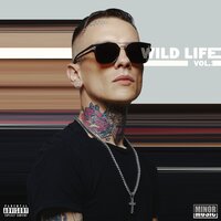 Heye - Wild & Chico Beatz