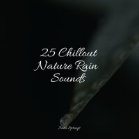 Downpour Rain - Reiki Music & Ambient Nature Project & Rain Sounds XLE Library