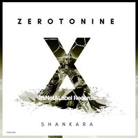 Shankara - Zerotonine