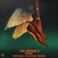 Talamanca - Burns & Vintage Culture