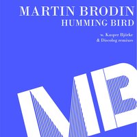 Humming Bird - Martin Brodin & Discolog