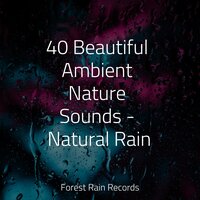 Wind and Storms - Nature's Symphony & Ambient Music Therpy & Study Zone
