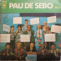 Eu quero amar - Pau de Sebo