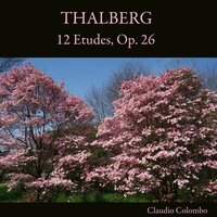 12 Etudes, Op. 26: V. Allegro - Claudio Colombo