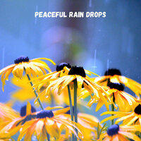 Rain winds - Outdoor Field Recorders & Hi Freq Samples & Hotel Spa