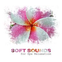 Agua Calmante - Spa