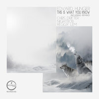 This Is What You Know - Edvard Hunger