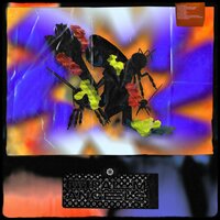 MISBHV - FKA 059 & bonsai2004
