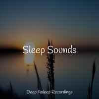 Pluto Harmony - Relaxing Nature Music & Sleepy Night Music & Entspannungsmusik Oase