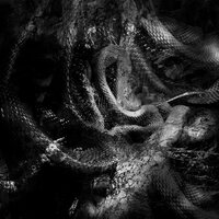 Invisible War - Hålbå