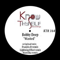 Wasted - Bobby Deep & Stanisha