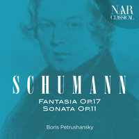 Piano Sonata No. 1 in F-Sharp Minor, Op. 11: IV. Finale: Allegro, un poco maestoso - Boris Petrushansky & Роберт Шуман