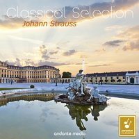 Gruss an Wien, Op. 225 - Vienna Chamber Orchestra & Paul Angerer & Иоганн Штраус-сын