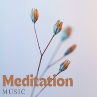 Harmony Haven - Meditation & Meditation Music & Meditation Music Tracks & Balanced Mindful Meditations