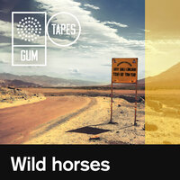 Such A Blast - Gum Tapes