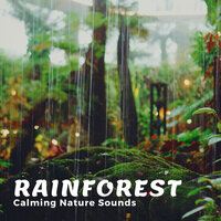 Wild Noise - Sounds of Nature Noise & Native American Nature & The Nature Soundscapes