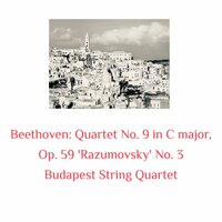 Quartet No. 9 in C major, Op. 59 'Razumovsky' No. 3 III. Menuetto. Grazioso - Budapest String Quartet & Ludwig van Beethoven