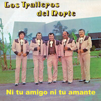 Mi Mal Amor - Los Traileros Del Norte