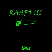 Raspo 3 - SAGE