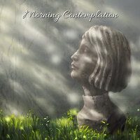 Bird Shelter - Soothing Music Collection