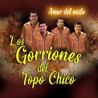 Aunque Pasen los Años - Los Gorriones Del Topo Chico