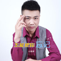 怎能把你忘记 - 小高哥
